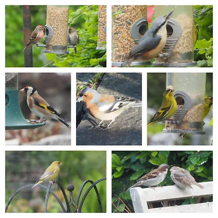 Σπίτι διακοπών Finest Retreats - The Duck House